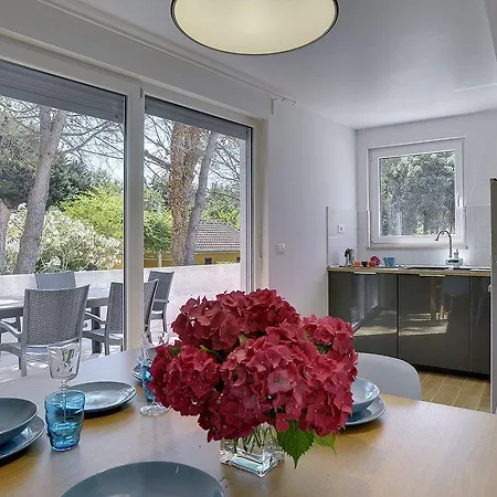 Chiara * プレマントゥーラ